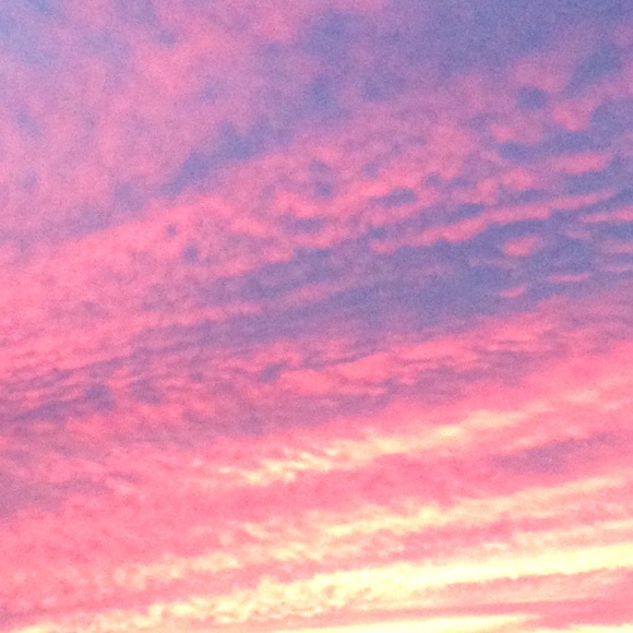 Meet your Posher, Brooklyne - Picture 1 of 1